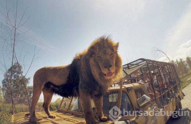 Günün en çok paylaşılan fotoğrafları