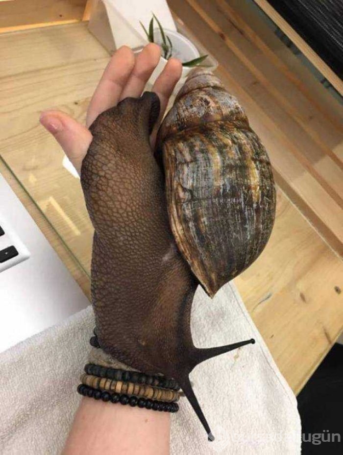 Günün en çok paylaşılan fotoğrafları