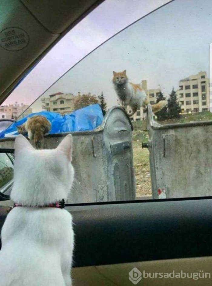 Günün en çok paylaşılan fotoğrafları