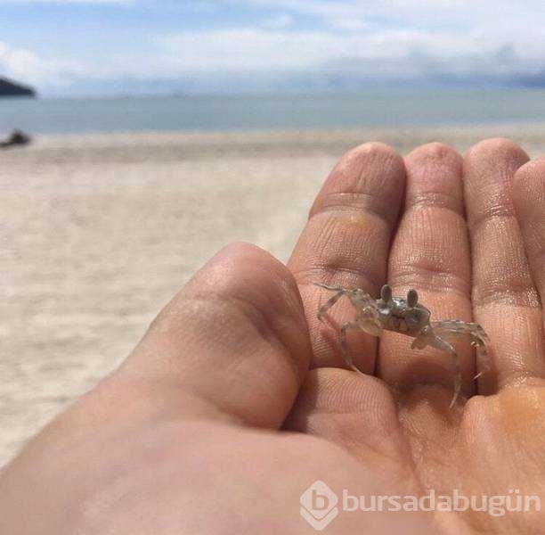 Günün en çok paylaşılan fotoğrafları