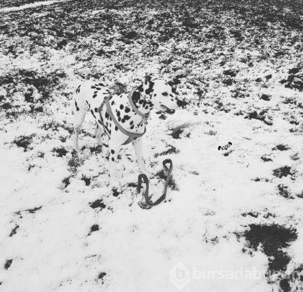 Günün en çok paylaşılan fotoğrafları