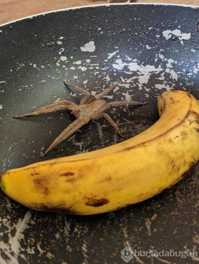 Günün en çok paylaşılan fotoğrafları