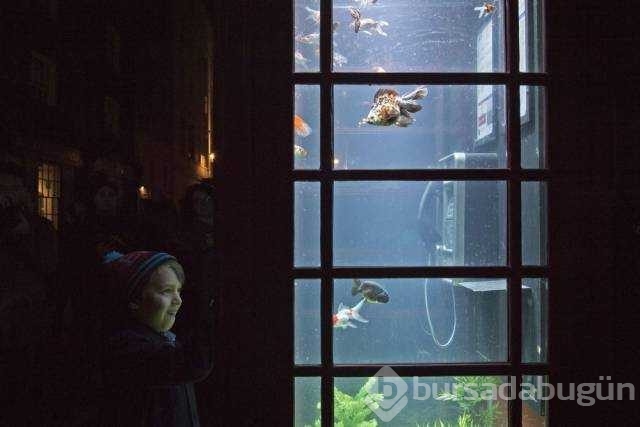 Günün en çok paylaşılan fotoğrafları