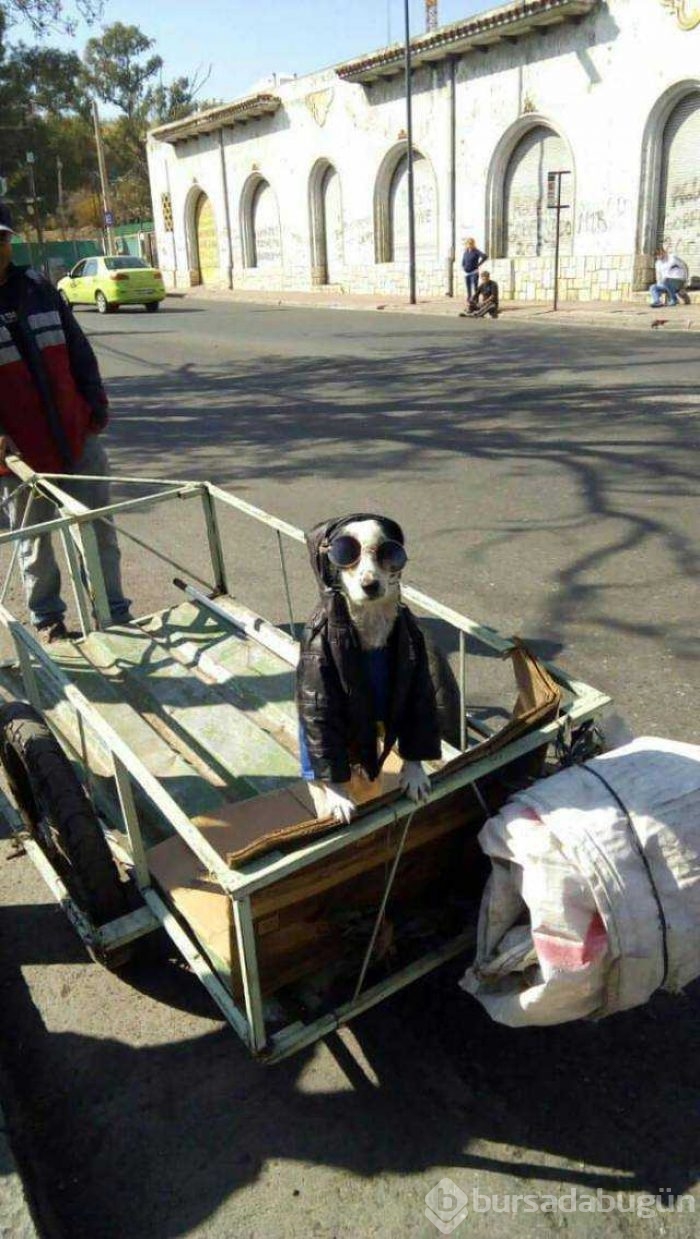 Günün en çok paylaşılan fotoğrafları