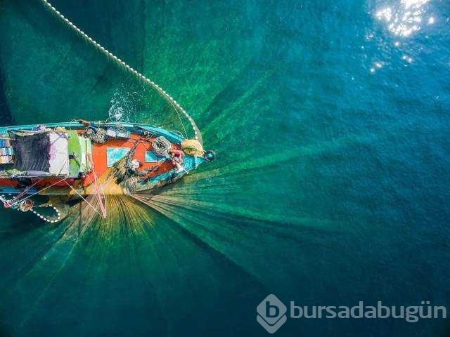 Günün en çok paylaşılan fotoğrafları