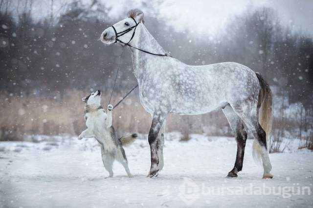 Günün en çok paylaşılan fotoğrafları