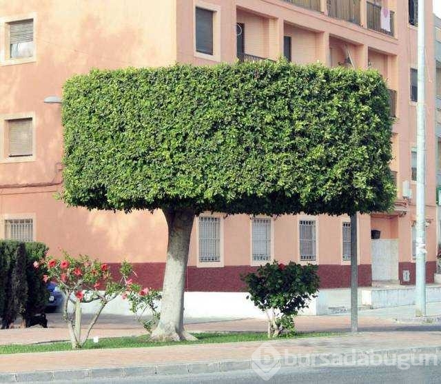 Günün en çok paylaşılan fotoğrafları