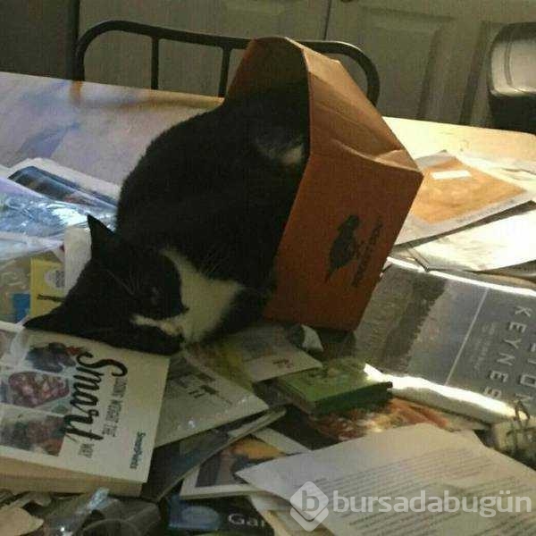 Günün en çok paylaşılan fotoğrafları