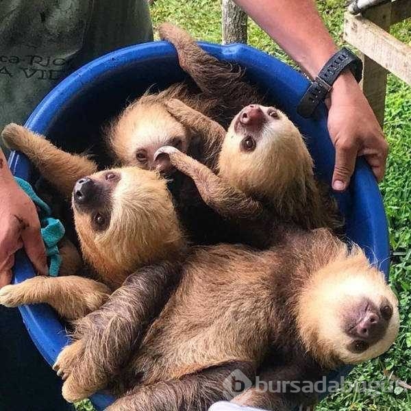 Günün en çok paylaşılan fotoğrafları