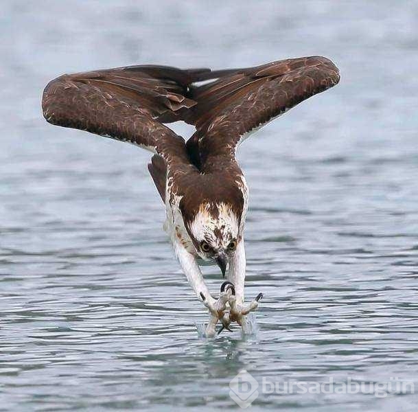 Günün en çok paylaşılan fotoğrafları