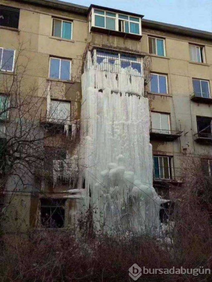 Günün en çok paylaşılan fotoğrafları