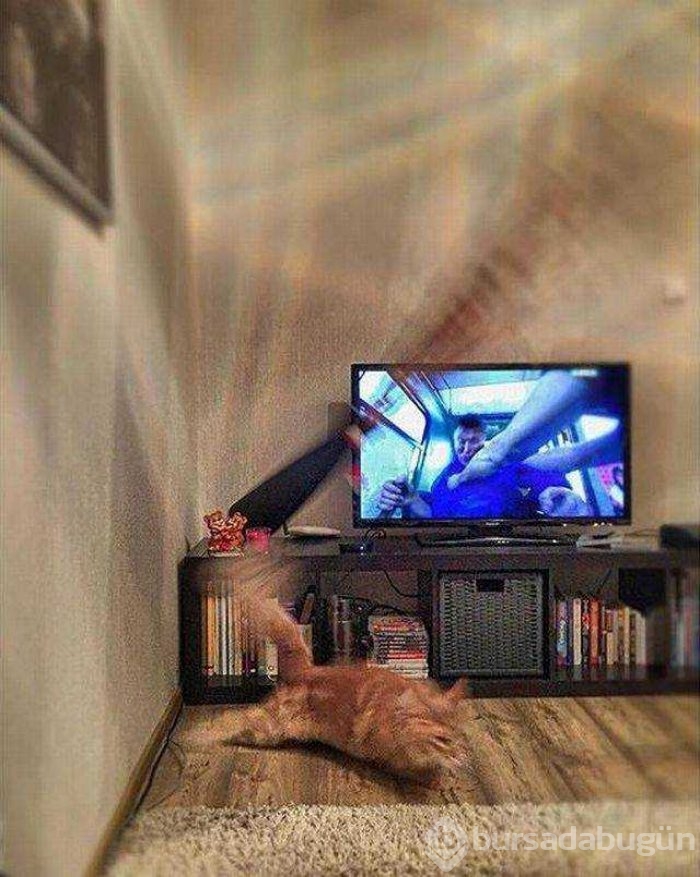Günün en çok paylaşılan fotoğrafları