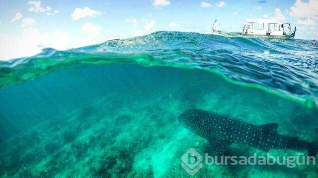 Günün en çok paylaşılan fotoğrafları