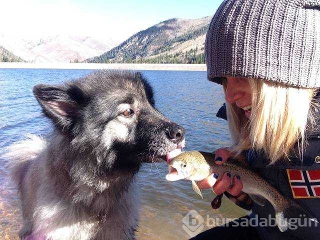 Günün en çok paylaşılan fotoğrafları