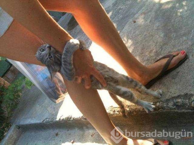 Günün en çok paylaşılan fotoğrafları