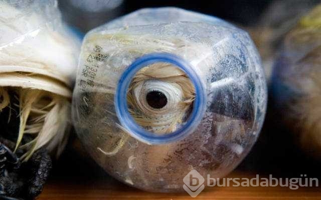 Kaçakçıların bu yöntemi pes dedirtti