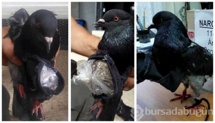 Kaçakçıların bu yöntemi pes dedirtti