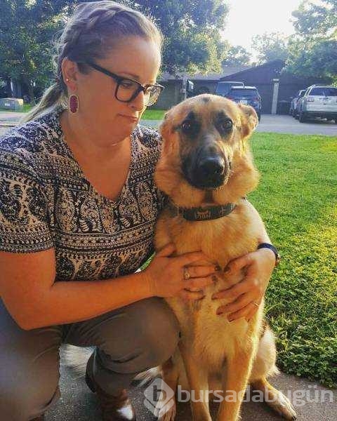 Veterinerden korkan köpeklerin komik tepkileri