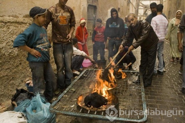 Sadece Afrika'da görebileceğiniz fotoğraflar