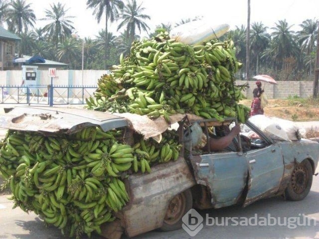 Sadece Afrika'da görebileceğiniz fotoğraflar
