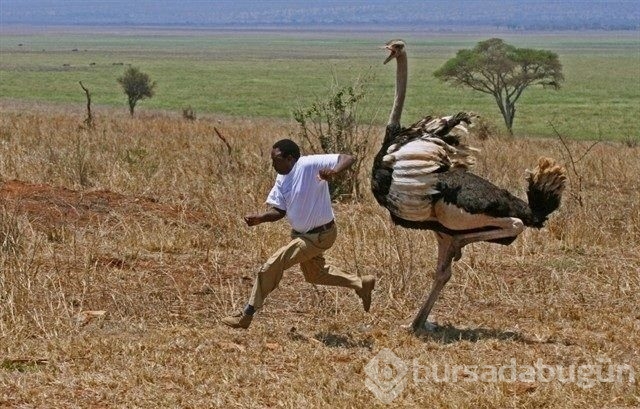 Sadece Afrika'da görebileceğiniz fotoğraflar