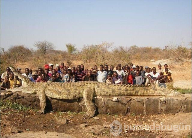 Sadece Afrika'da görebileceğiniz fotoğraflar
