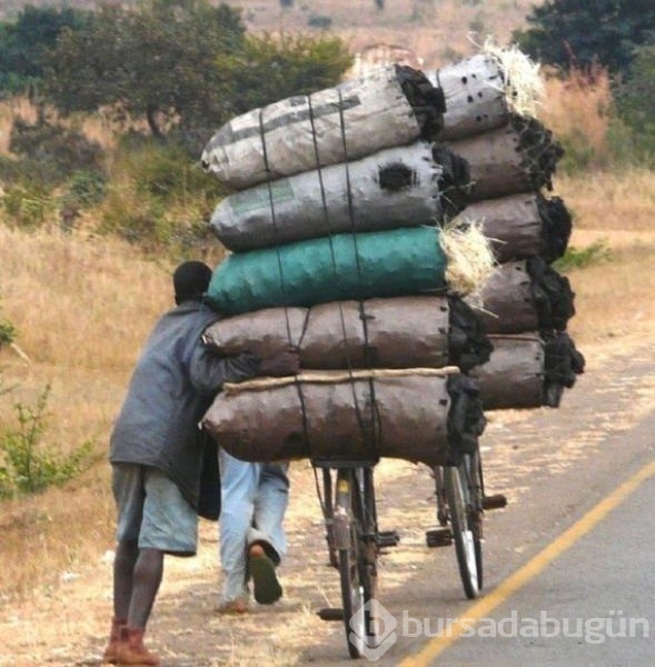 Sadece Afrika'da görebileceğiniz fotoğraflar