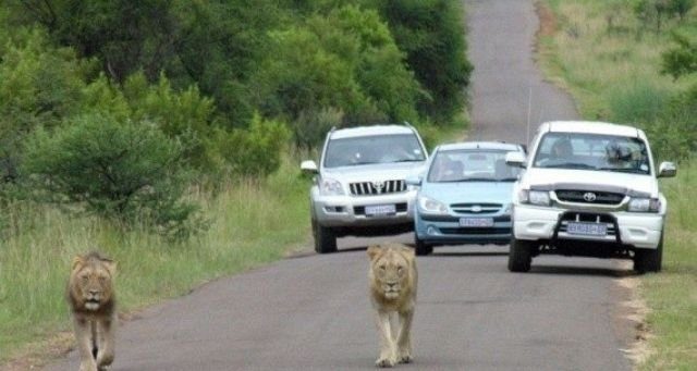 Sadece Afrika'da görebileceğiniz fotoğraflar