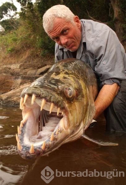 Sadece Afrika'da görebileceğiniz fotoğraflar