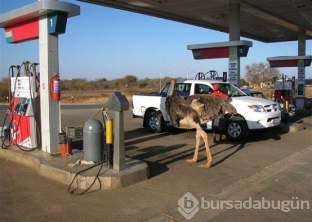 Sadece Afrika'da görebileceğiniz fotoğraflar