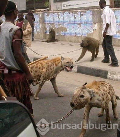 Sadece Afrika'da görebileceğiniz fotoğraflar