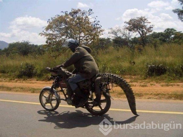 Sadece Afrika'da görebileceğiniz fotoğraflar