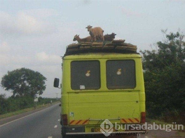 Sadece Afrika'da görebileceğiniz fotoğraflar
