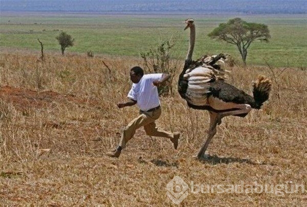 Sadece Afrika'da görebileceğiniz fotoğraflar