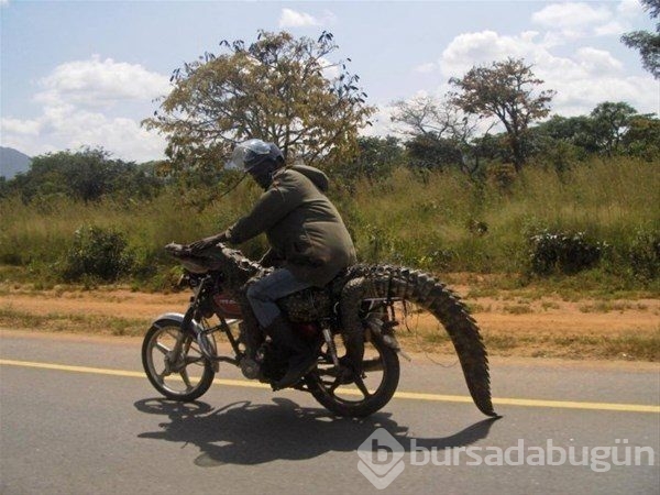 Sadece Afrika'da görebileceğiniz fotoğraflar