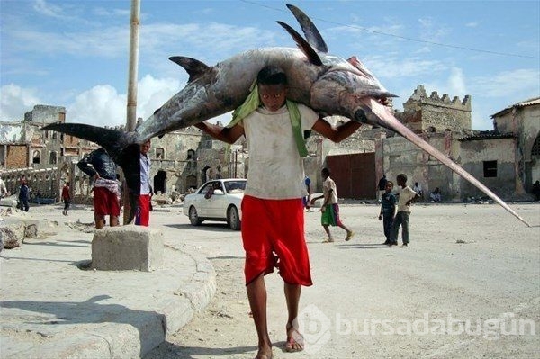 Sadece Afrika'da görebileceğiniz fotoğraflar