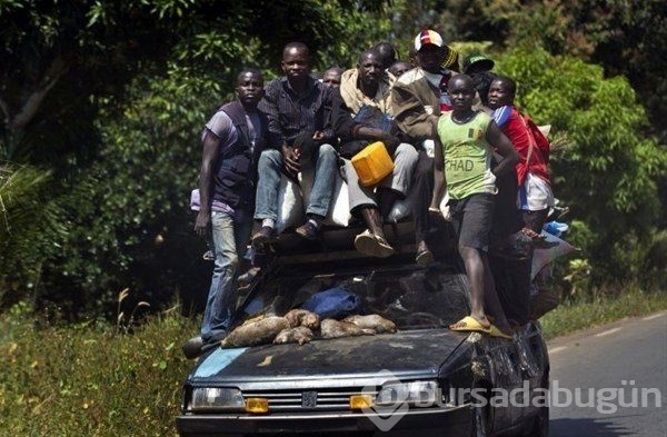 Sadece Afrika'da görebileceğiniz fotoğraflar