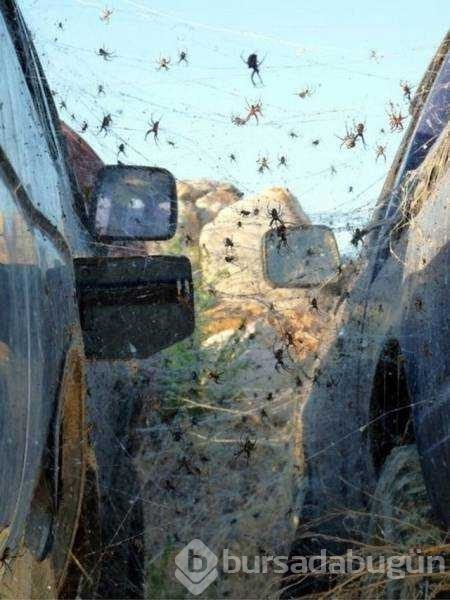 Günün en çok paylaşılan fotoğrafları