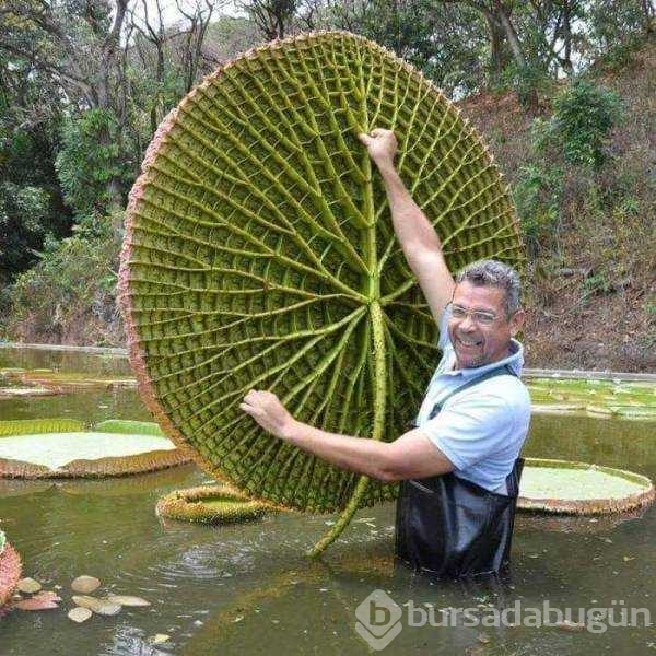 Günün en çok paylaşılan fotoğrafları