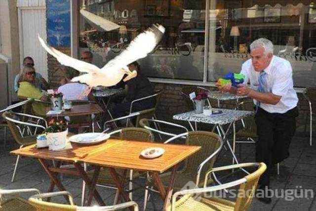 Günün en çok paylaşılan fotoğrafları