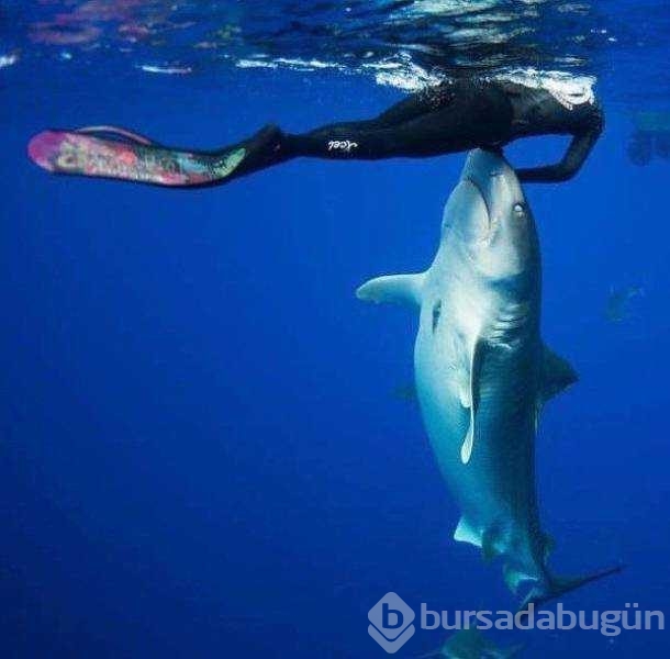 Günün en çok paylaşılan fotoğrafları