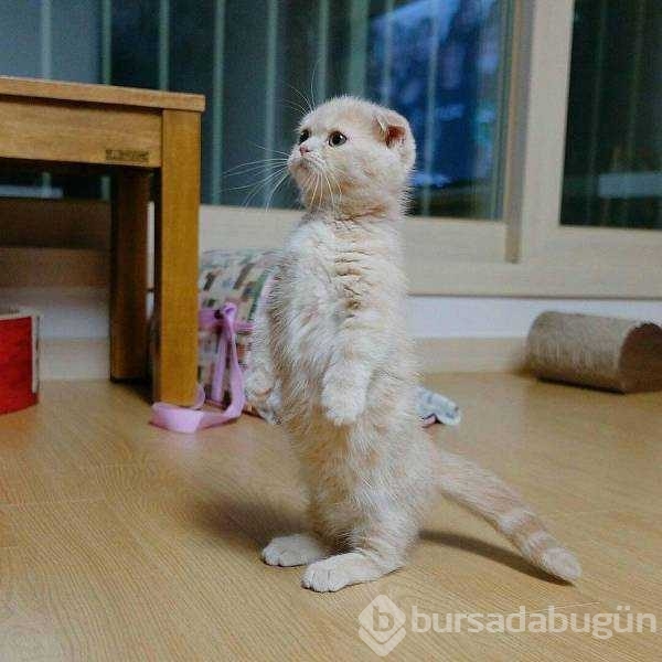Günün en çok paylaşılan fotoğrafları