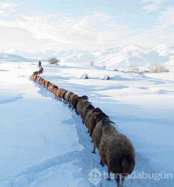 Günün en çok paylaşılan fotoğrafları