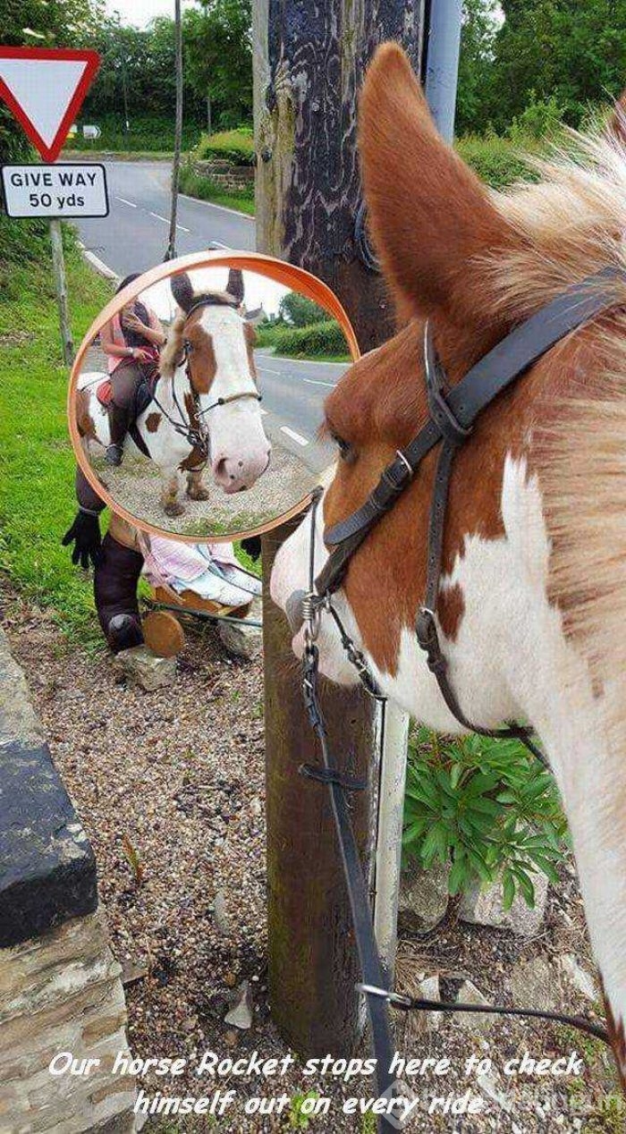 Günün en çok paylaşılan fotoğrafları