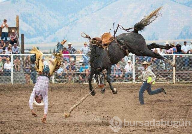 Günün en çok paylaşılan fotoğrafları