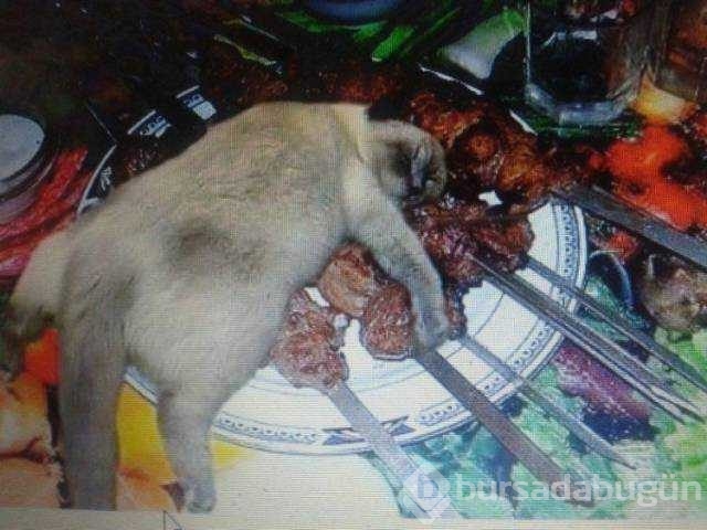 Günün en çok paylaşılan fotoğrafları