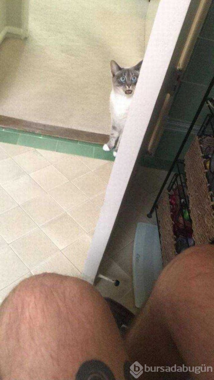 Günün en çok paylaşılan fotoğrafları