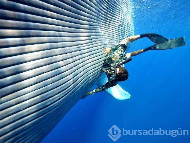 Günün en çok paylaşılan fotoğrafları