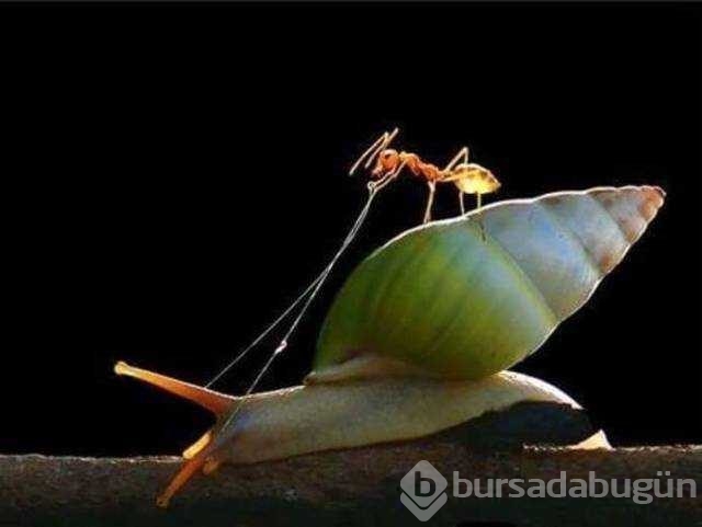 Günün en çok paylaşılan fotoğrafları