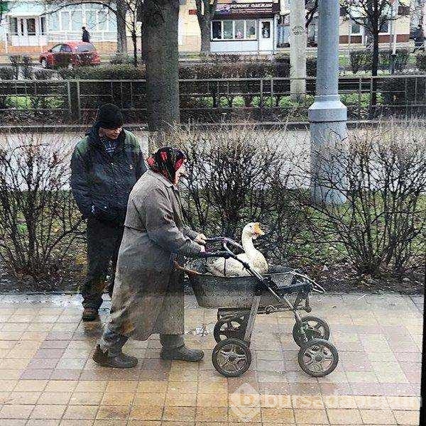 Günün en çok paylaşılan fotoğrafları